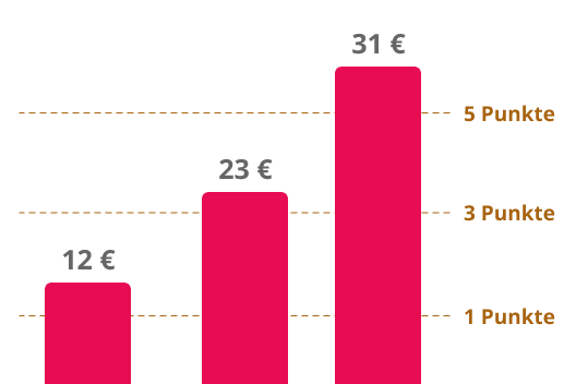 erste klasse Software development von ORDERU - das Shopsystem